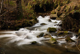 Im Kirnitzschtal - Sächsische Schweiz